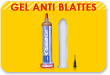 gel anti blattes