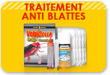 traitement contre les blattes